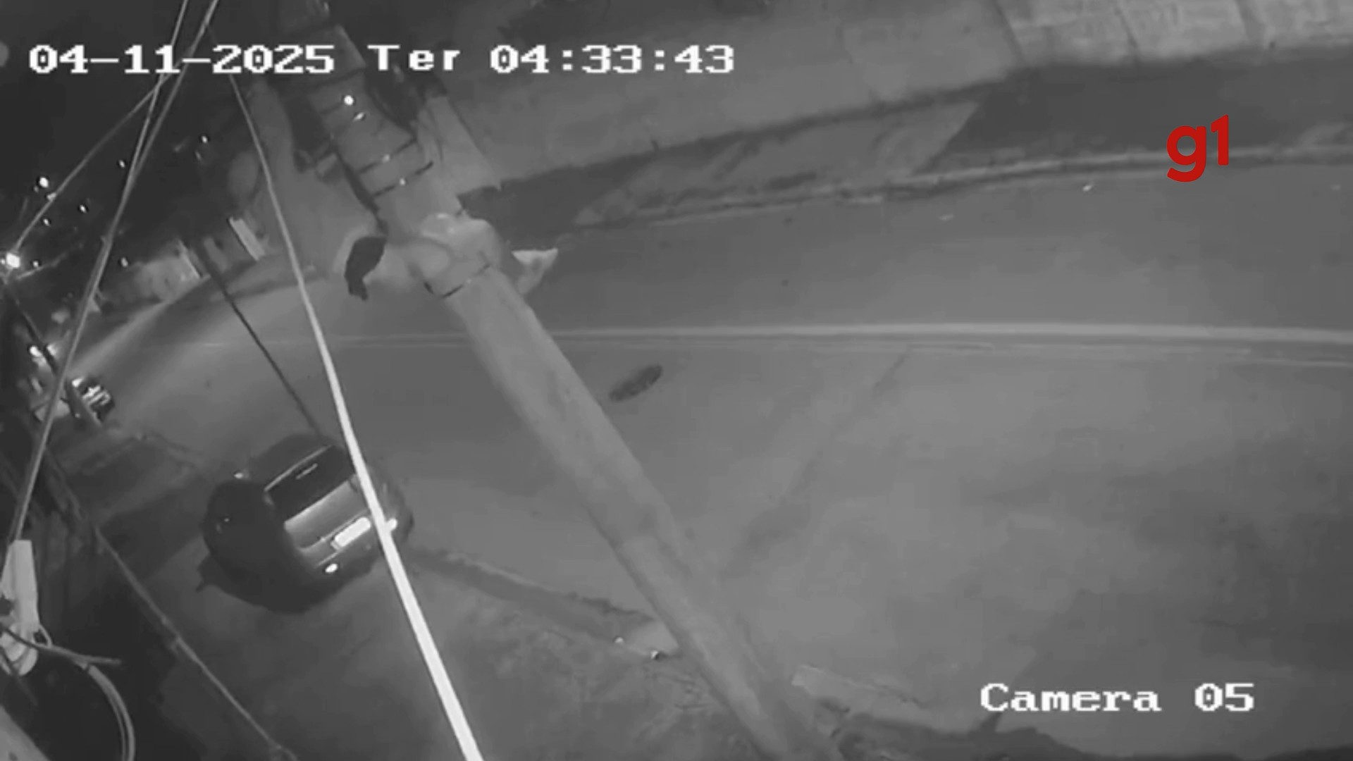 VÍDEO: Homem escala poste de energia e furta fiação elétrica em Taubaté, SP