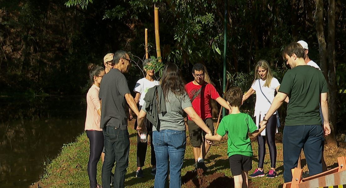 Irmãos plantam árvore para homenagear pais mortos em Ribeirão Preto: 'Contemplar a lembrança'