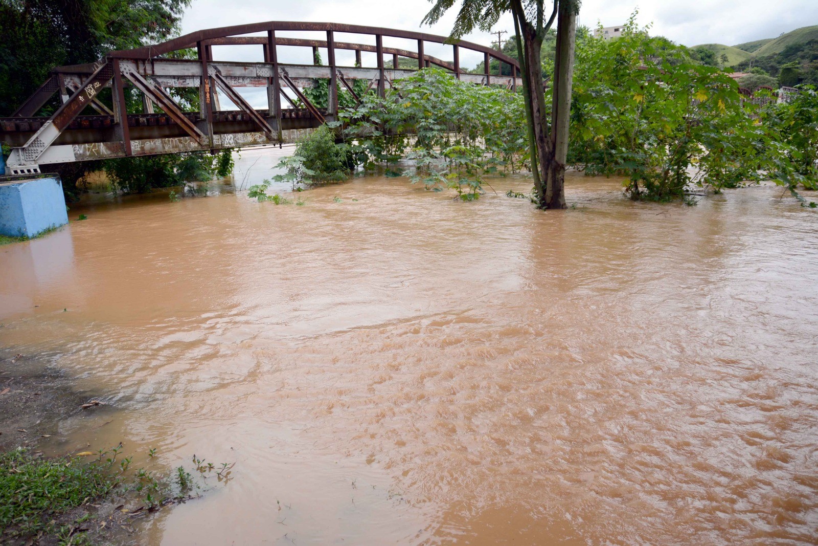 Nível do Rio Paraíba do Sul aumenta e provoca alagamento em Barra Mansa