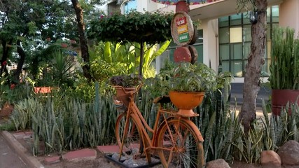 Palmas 35 anos: conheça locais que passam despercebidos no dia a dia da Capital