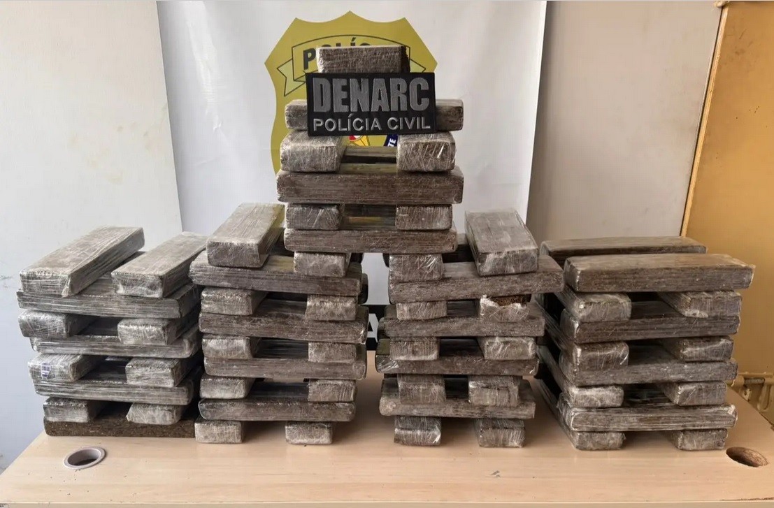 Polícia apreende 75 tabletes de maconha em apartamento usado como depósito de drogas em Marituba
