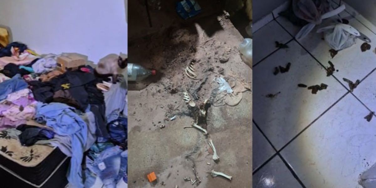 Criança é resgatada com pulgas pelo corpo em casa com lixo e ossada de animal no interior de SP 
