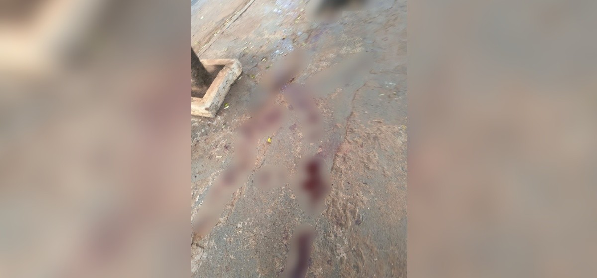 Pitbull escapa e mata vira-lata de pequeno porte em Rio Preto