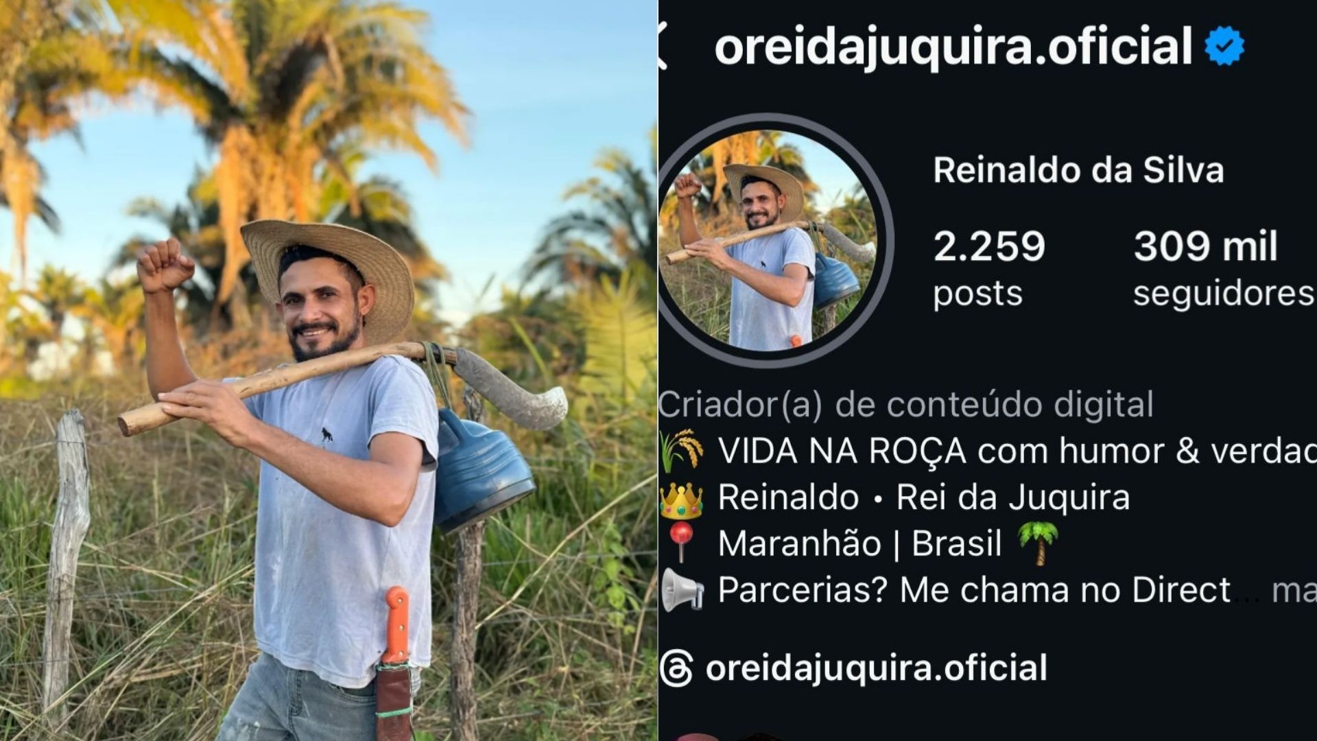 Influenciador 