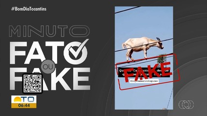 Veja o que é mentira ou verdade no Minuto Fato ou Fake do g1