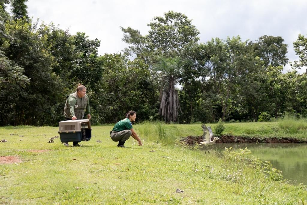 Você Não Tá Convidada pro Meu Bat Mitzvá!
