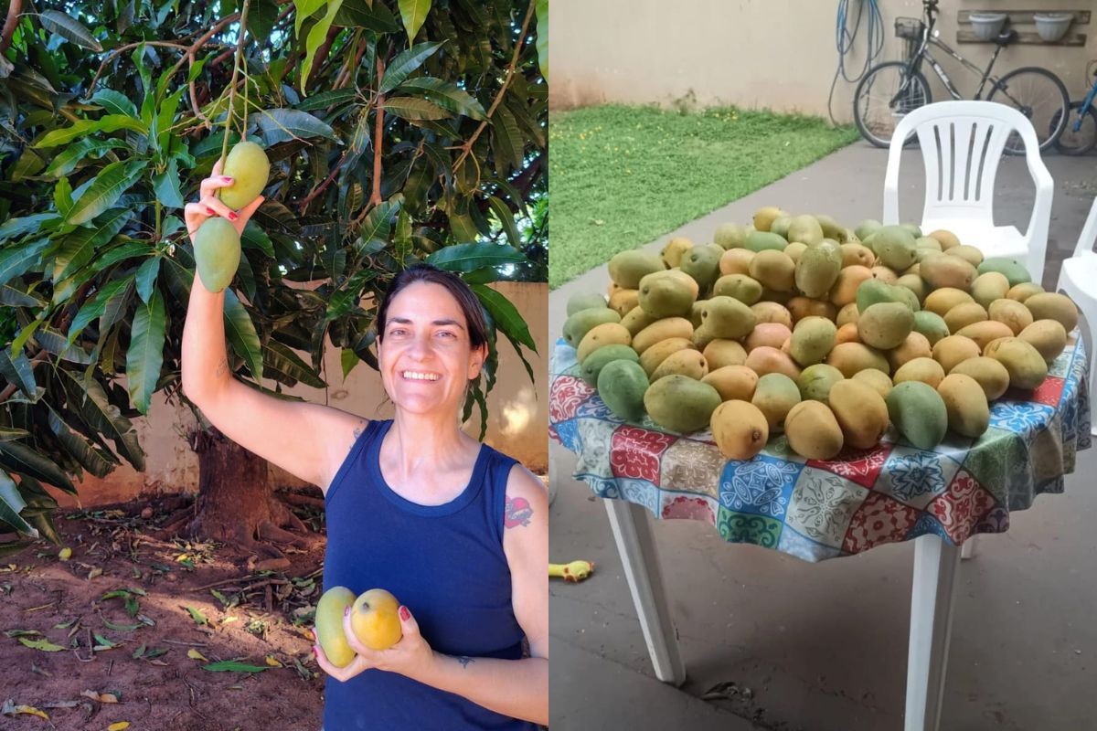 'Me doía no coração colocar fora', diz moradora que distribui manga na calçada de casa em MS