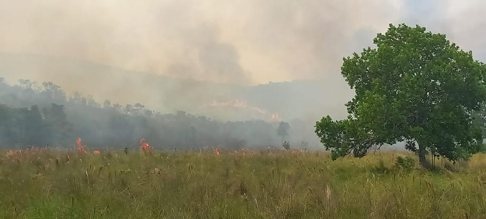 Fogo se espalha pela Serra do Amolar. — Foto: IHP/Reprodução