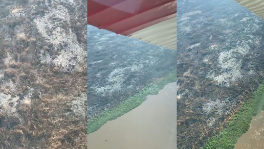 Em cinco meses, número de incêndios no Pantanal é 39% maior do que no 'pior' ano da história do bioma; vídeo mostra área devastada - Programa: G1 MS 