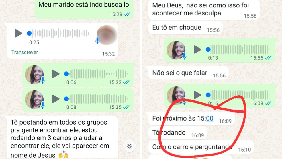 Troca de mensagens de tutora com o dono do pet shop após cachorro desaparecer em Bady Bassitt (SP) — Foto: Najara Cebalos/Arquivo pessoal