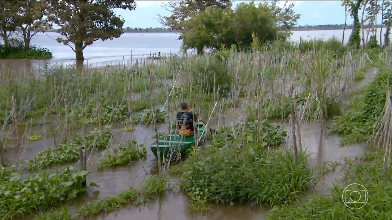 Cheia dos rios impõe prejuízos a produtores rurais no Amazonas
