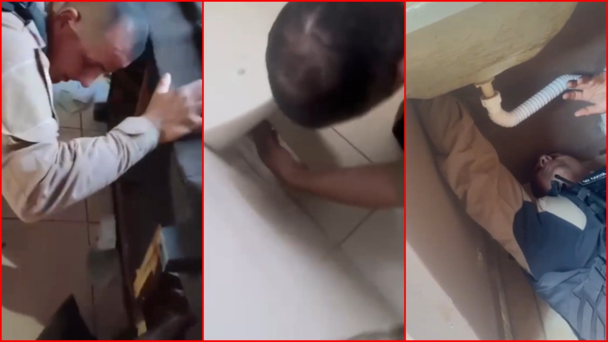 Drogas são apreendidas embaixo de tanque, atrás de pia e em sofá em Unaí; casal foi preso