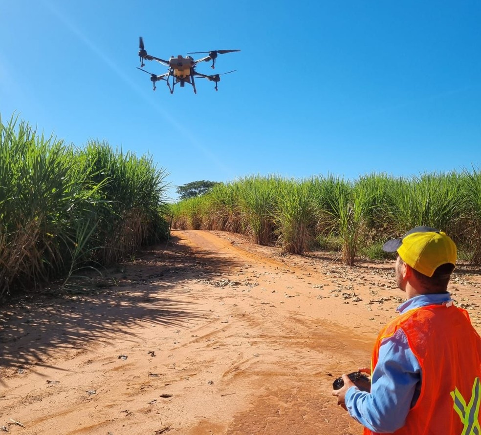 Piloto Adrien Michelmann realiza uma demonstração de condução de drone agrícola. Neste momento, ele não estava realizando uma aplicação de agrotóxicos, que requer equipamentos de proteção; — Foto: Arquivo pessoal