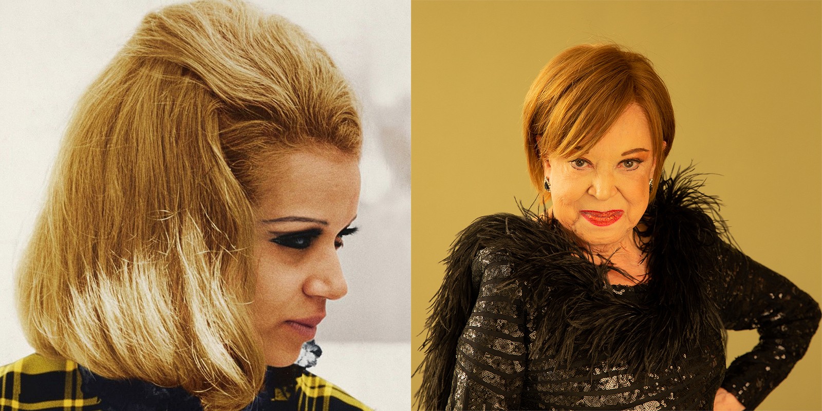 Você Não Tá Convidada pro Meu Bat Mitzvá!