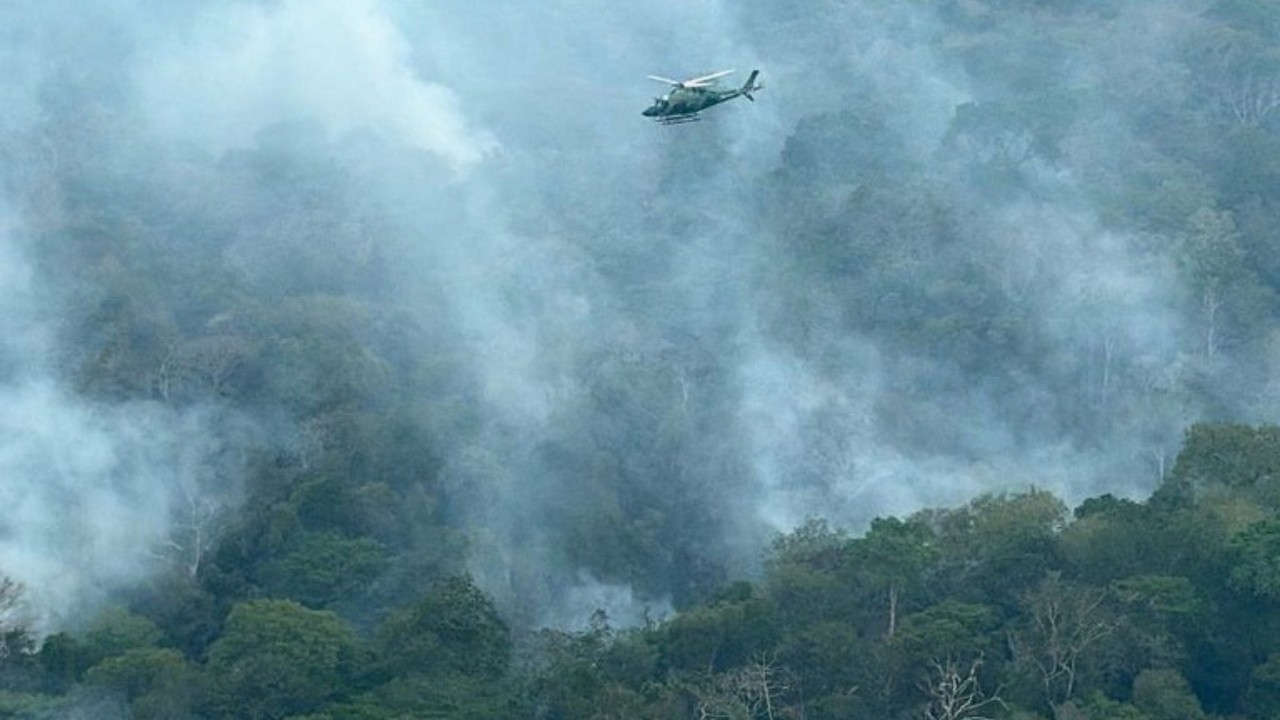 Queimadas no AM: governo federal diz ter ajudado a extinguir 338 incêndios; focos de calor caem