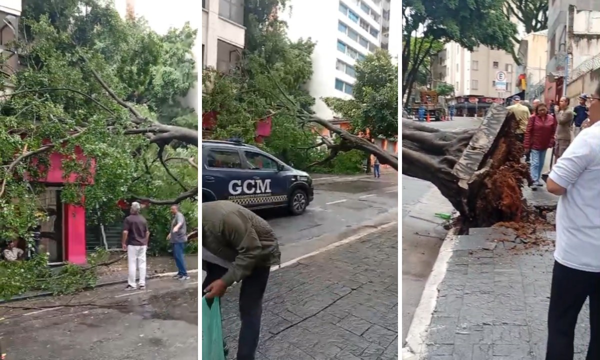 Chuva em SP provoca alagamentos e queda de árvore que atingiu pedestre em Higienópolis; marquise cai sobre duas pessoas na Faria Lima