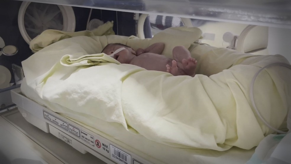 Incubadora busca reproduzir condições semelhantes ao útero da mãe para o desenvolvimento do bebê — Foto: Reprodução/TV TEM