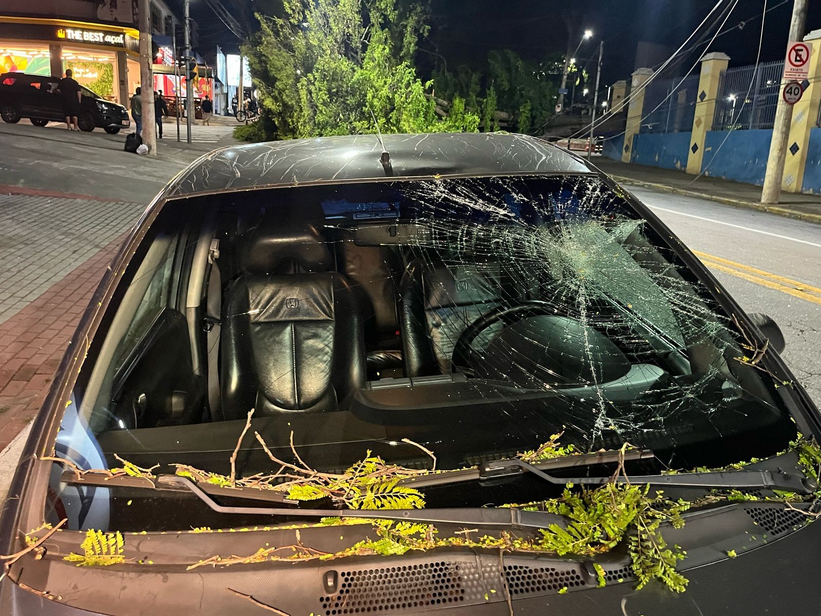 Árvore de grande porte cai, atinge carro e interdita Avenida Cassiopeia em São José dos Campos, SP