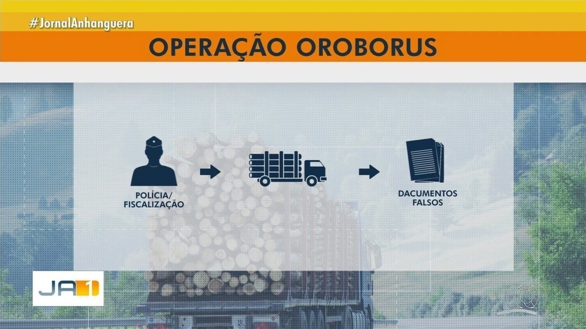 PF realiza operação que combate tráfico de madeira em terras indígenas ...