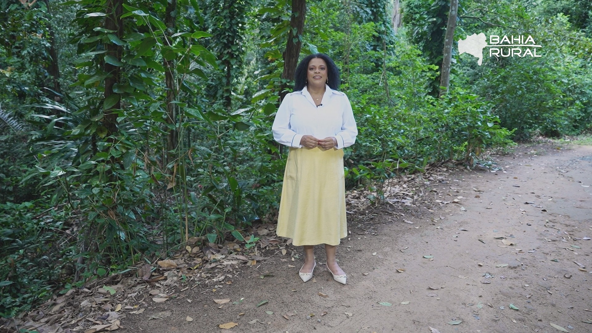 Vídeos do g1 e TV Bahia