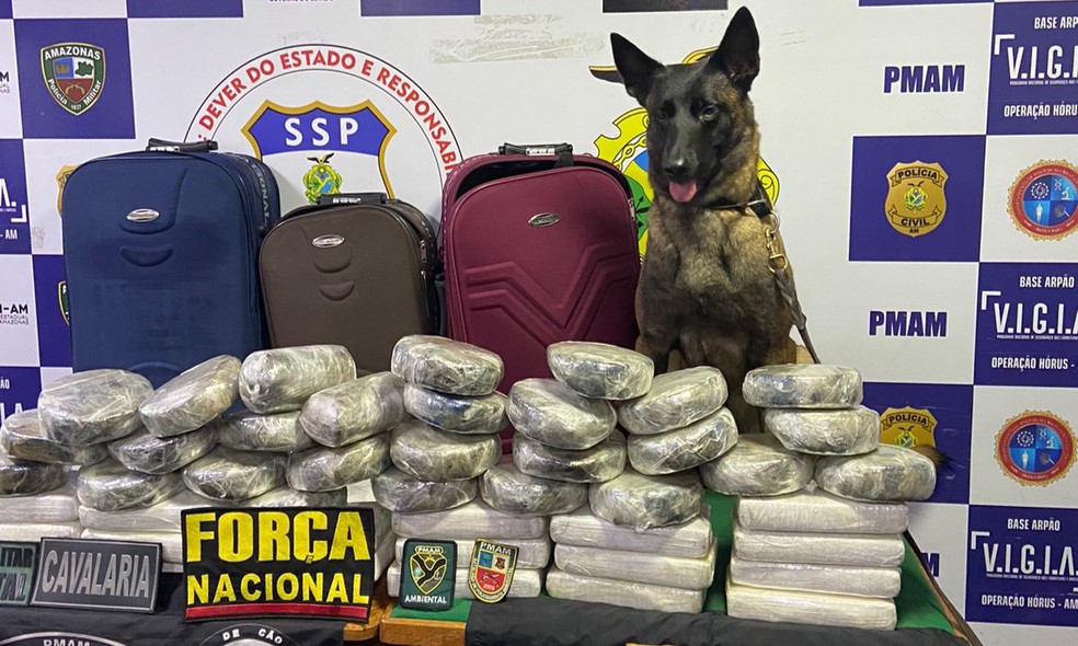 De acordo com a pasta, foram apreendidos mais de 1,6 toneladas de entorpecentes — Foto: SSP-AM
