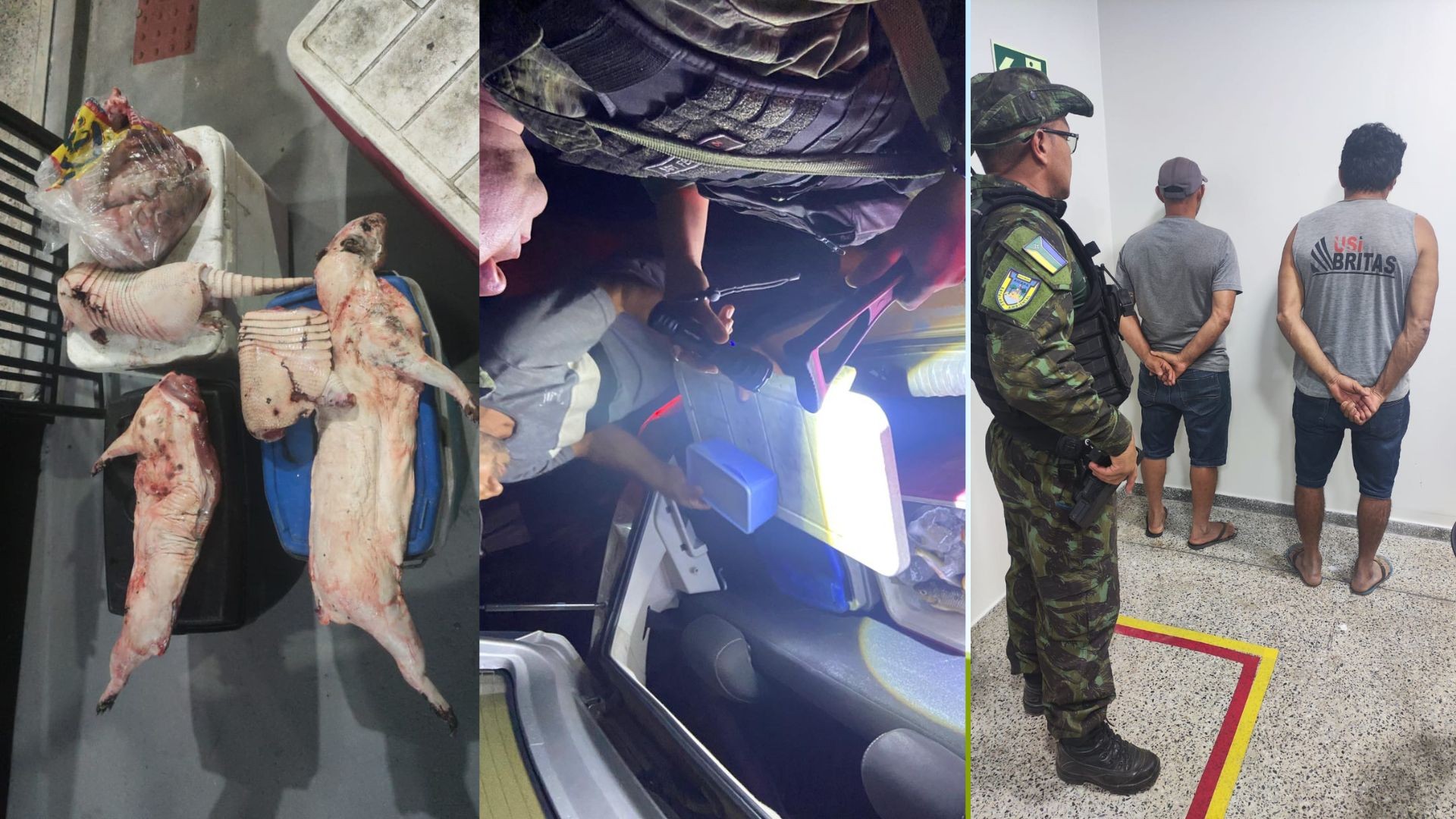Polícia prende três pessoas com animais silvestres abatidos, arma e munições no interior do Amapá