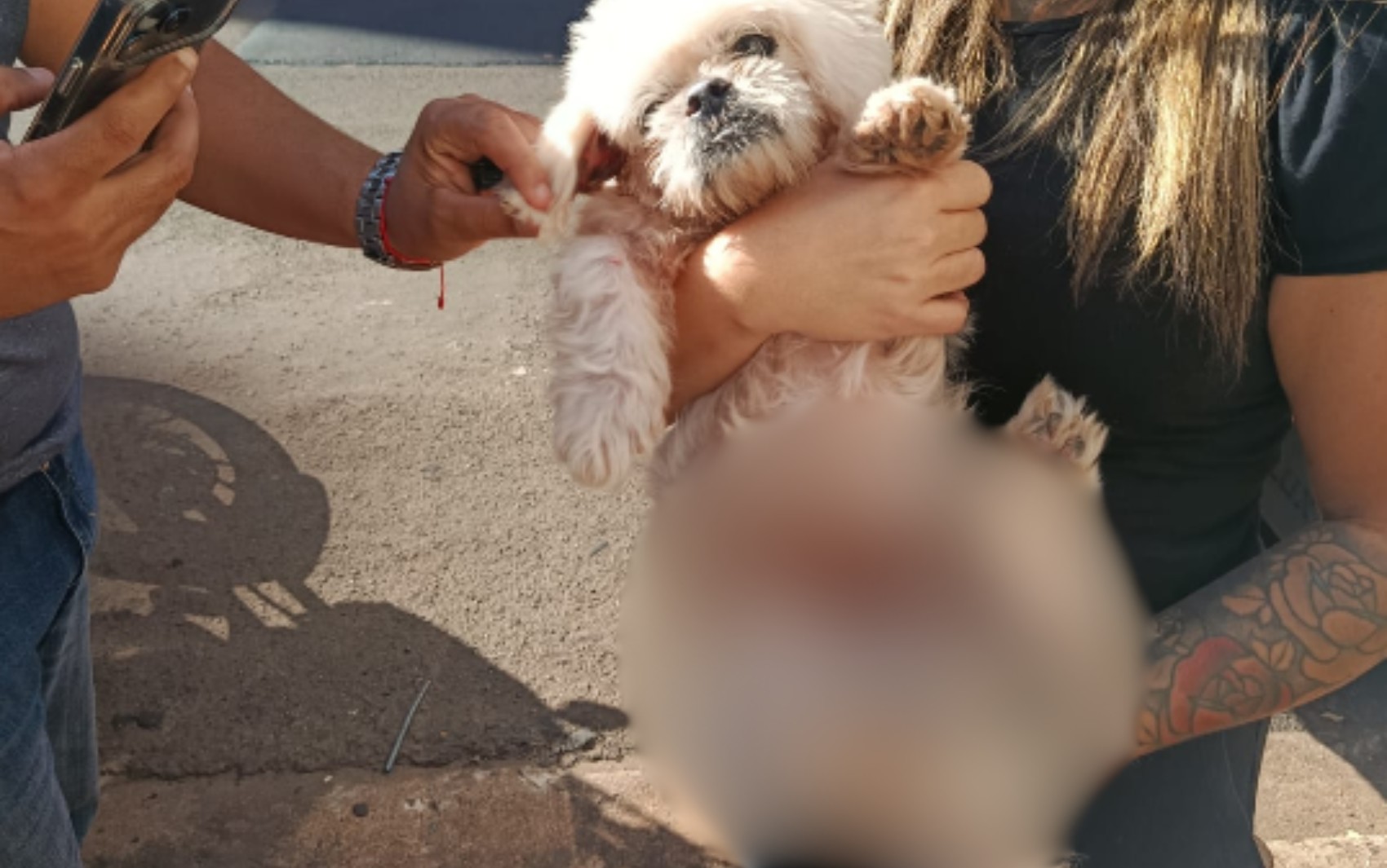 Resgate de cachorro por suspeita de maus-tratos gera impasse entre protetores e polícia em Ribeirão Preto, SP