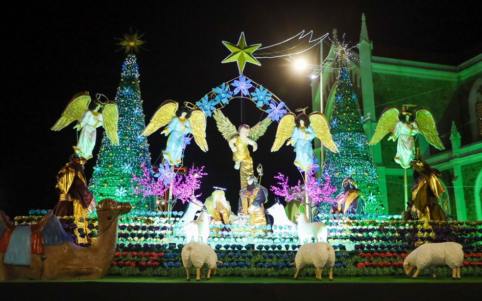 Natal Luz de Petrolina terá programação com diversas atrações; confira, Petrolina e Região