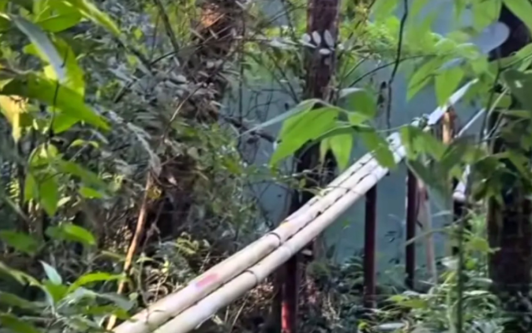Vereadores investigam denúncia sobre obra parada em empresa pública de Poços de Caldas, MG