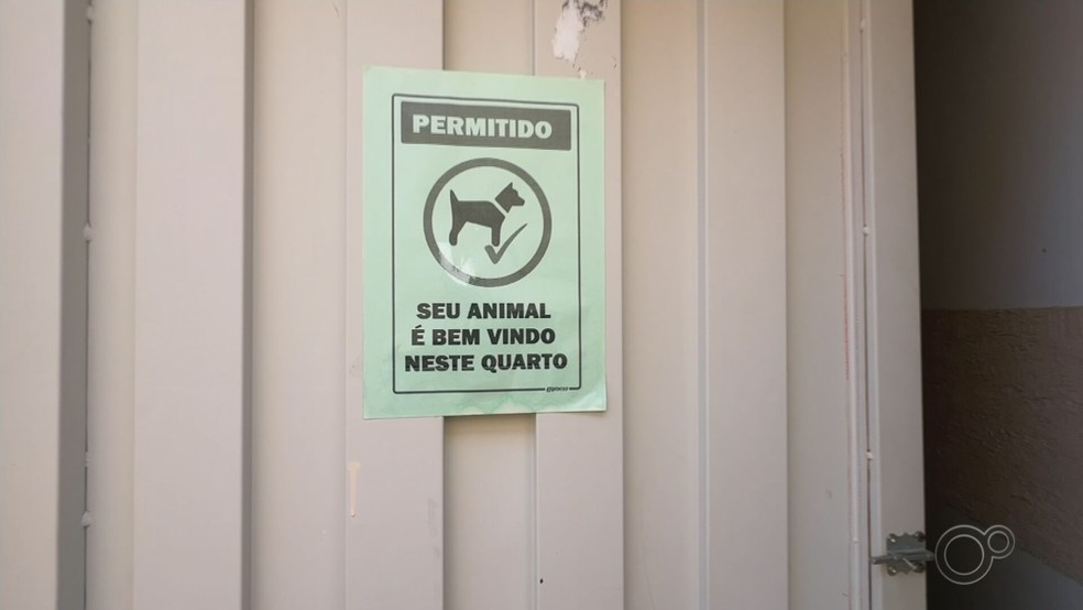 Em Fernandópolis, os pets também são bem-vindos no abrigo — Foto: Reprodução/TV TEM