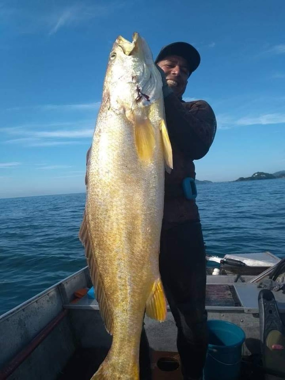Pescada-amarela atingiu tamanho incomum, com 21,5kg e 1,60 de comprimento — Foto: Leandro Pereira/Arquivo Pessoal