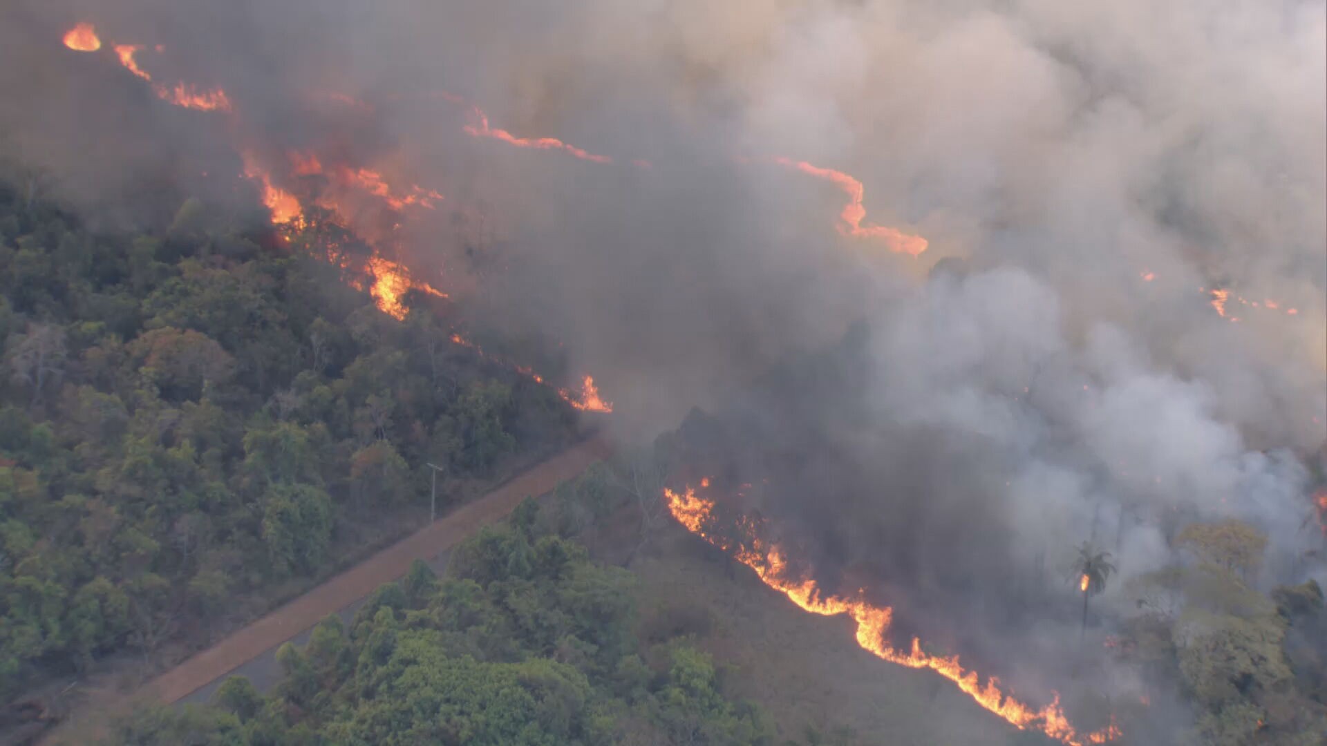 Cerrado registra maior número de focos de incêndio desde 2012 ...