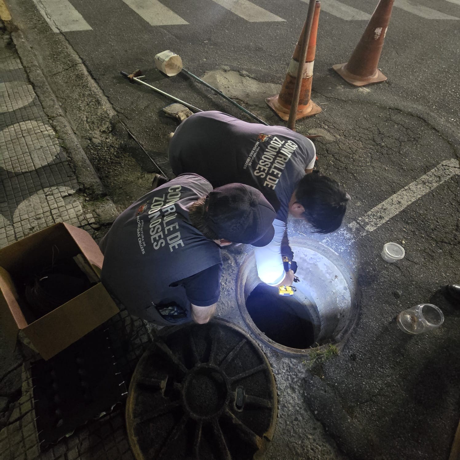 Ação do Centro de Controle de Zoonoses captura 20 escorpiões em Mogi das Cruzes