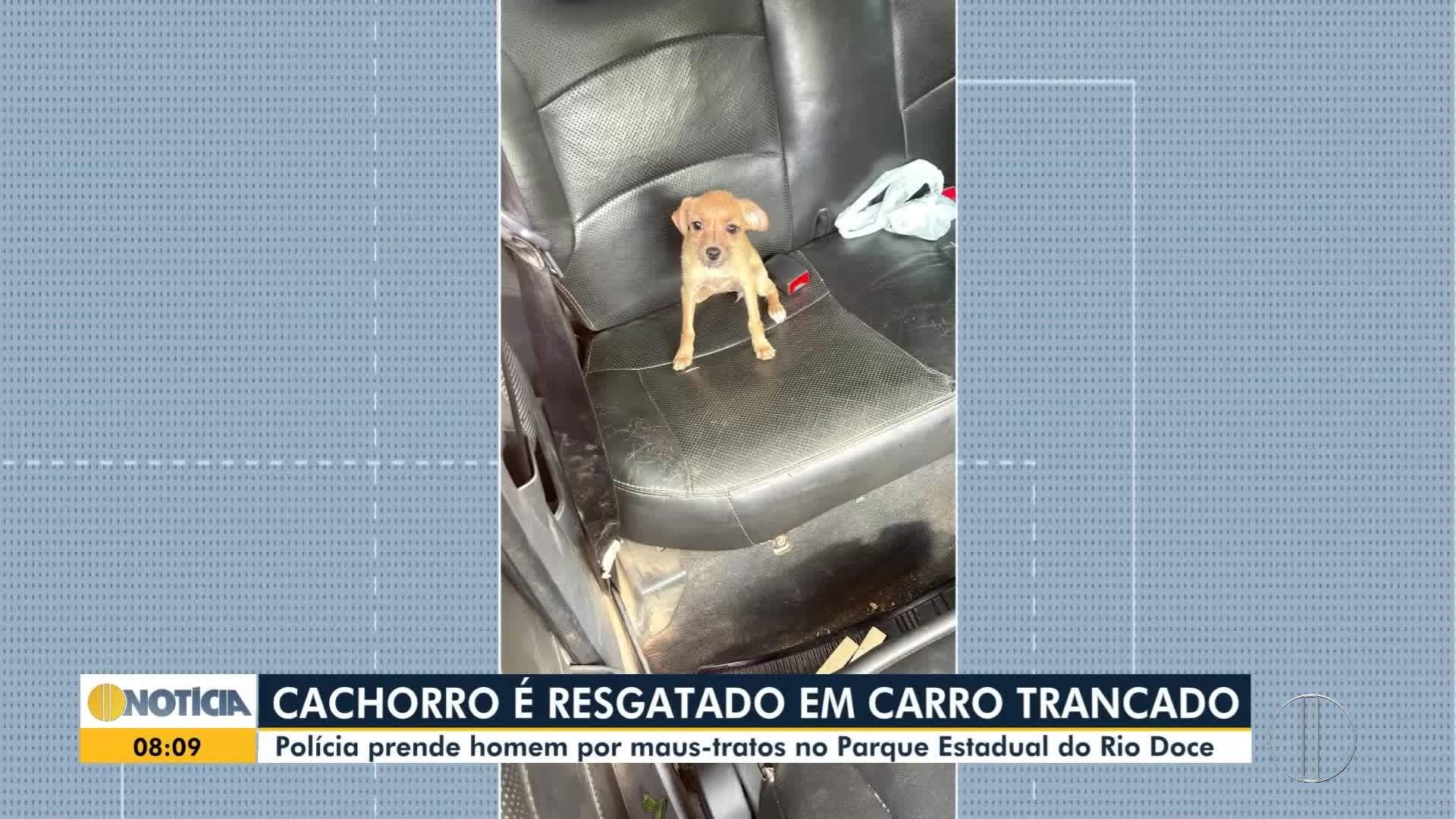 VÍDEOS: Confira alguns destaques do Inter TV Notícia desta segunda-feira, 24 de novembro