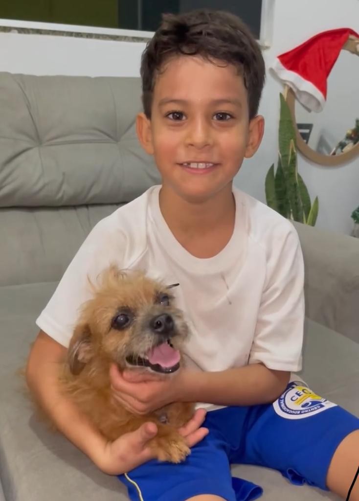 Menino encontra cachorrinha vira-lata perdida após comover internet com vídeo pedindo ajuda