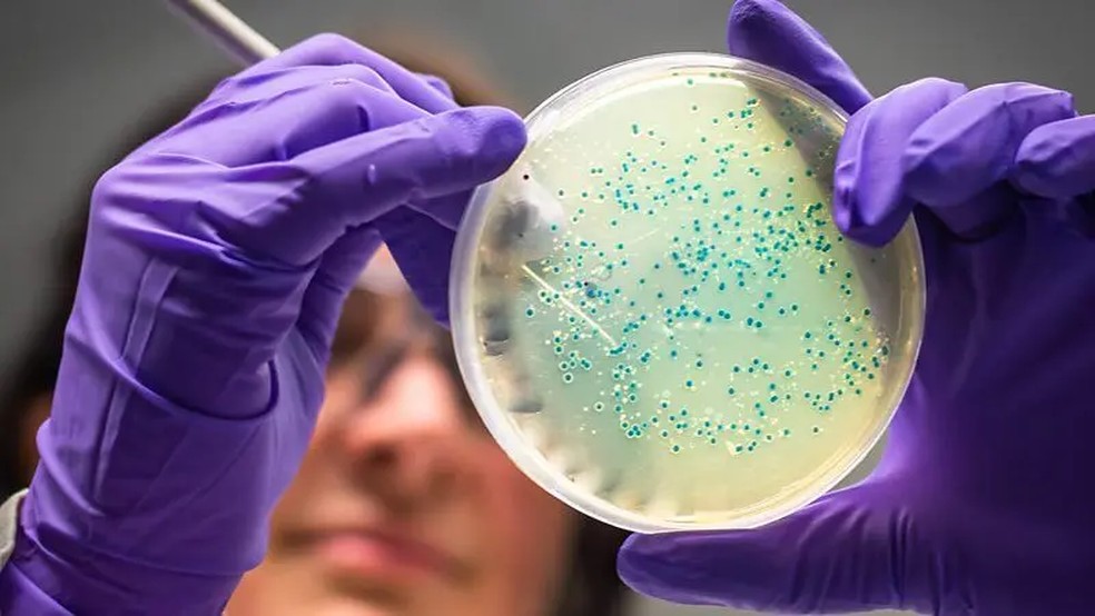 Se for possível ajustar ou mesmo substituir a microbiota de pacientes com problemas crônicos do sono, pode surgir uma nova forma de tratamento — Foto: Getty Images