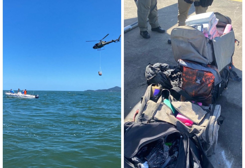 Turista desaparece em navio durante cruzeiro entre a Europa e o Brasil;  polícia investiga caso, Pernambuco