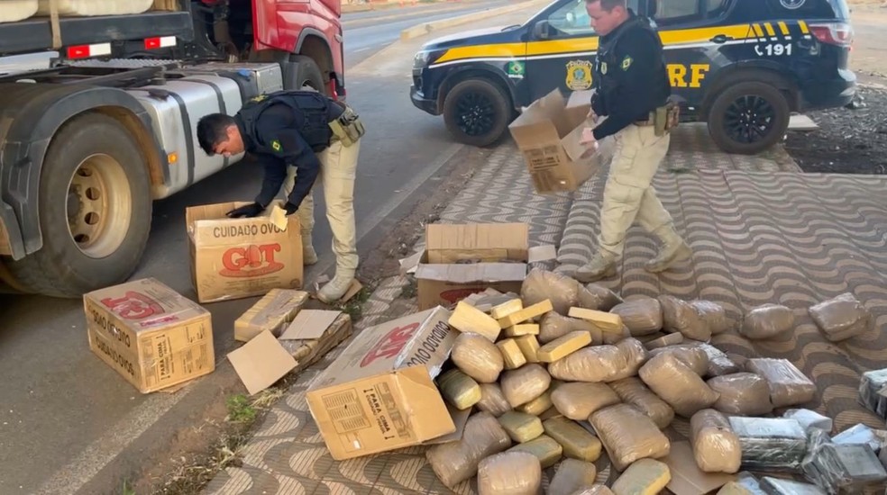 Drogas foram encontradas em caixas de papelão no compartimento de carga — Foto: PRF