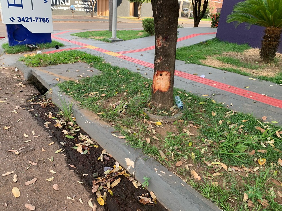 José Souza Filho, de 15 anos, morreu ao bater a motocicleta em uma árvore — Foto: Guilherme Alves