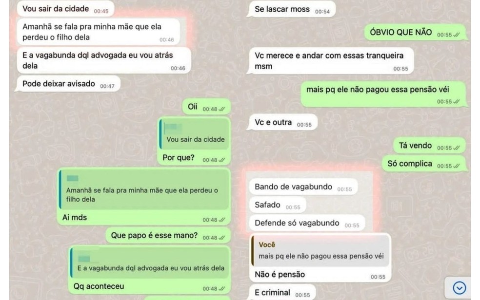 Polícia divulgou prints de conversa do adolescente com uma conhecida falando sobre as ameaças contra a advogada, em Formosa — Foto: Divulgação/Polícia Civil