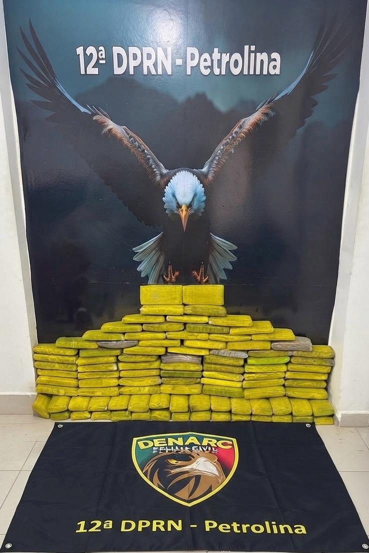 Polícia Civil apreende cerca de 93 kg de maconha escondidos em porto fluvial de Petrolina