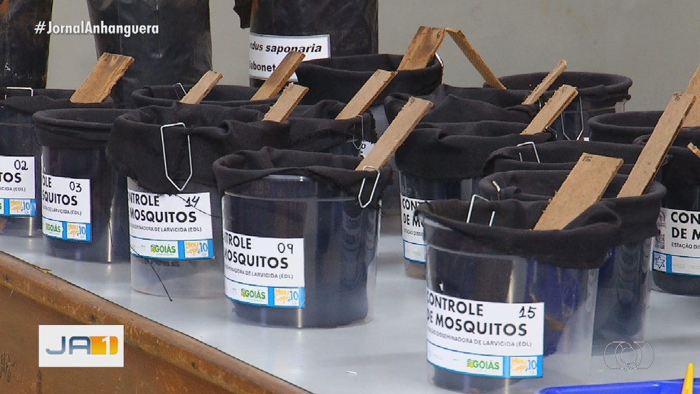 Estações Disseminadoras de Larvicida (EDL) com o extrato do fruto da saboneteira — Foto: Reprodução/TV Anhanguera