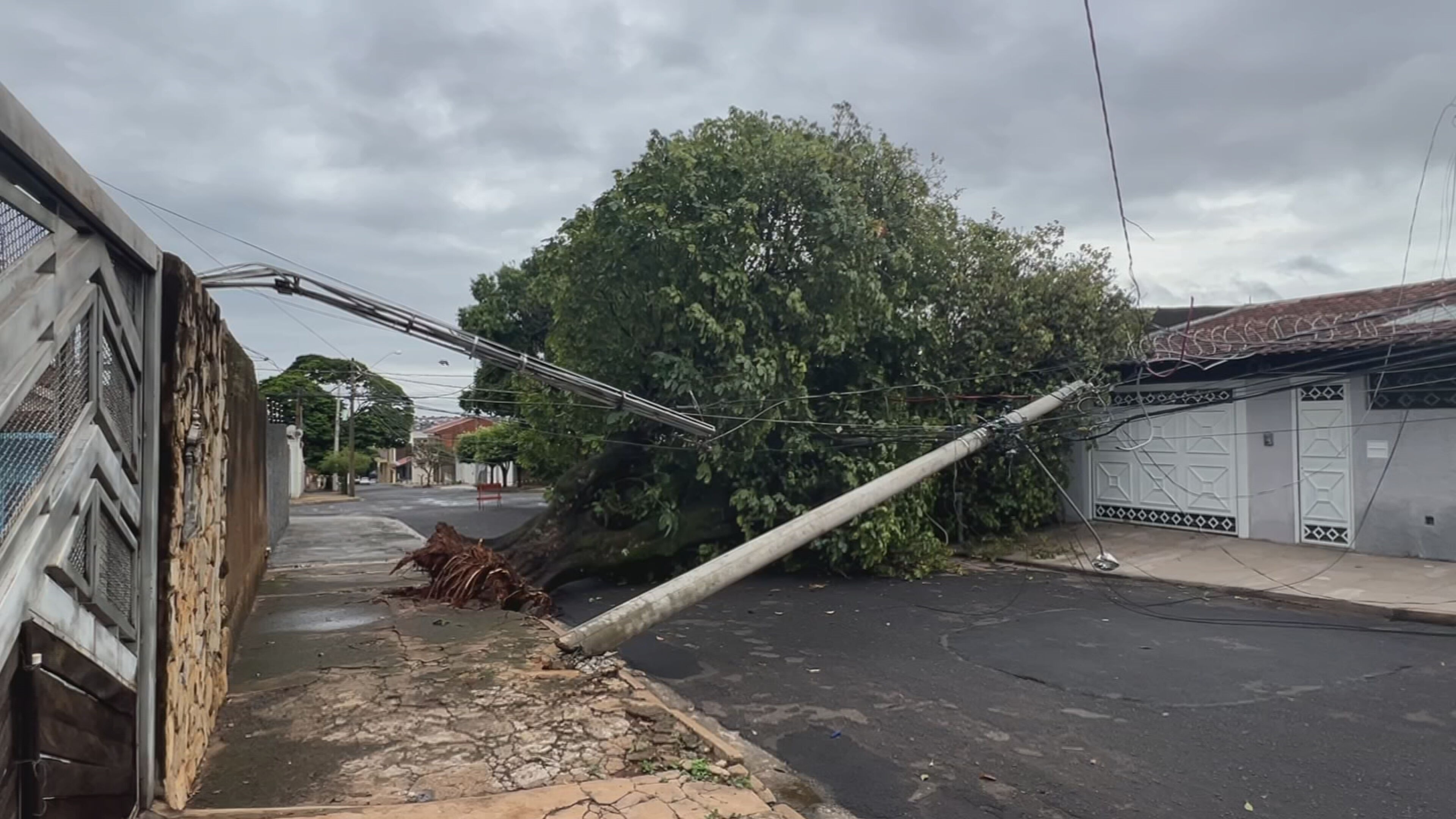 Árvore e poste de energia caem e quase atingem casa durante chuva em Bauru