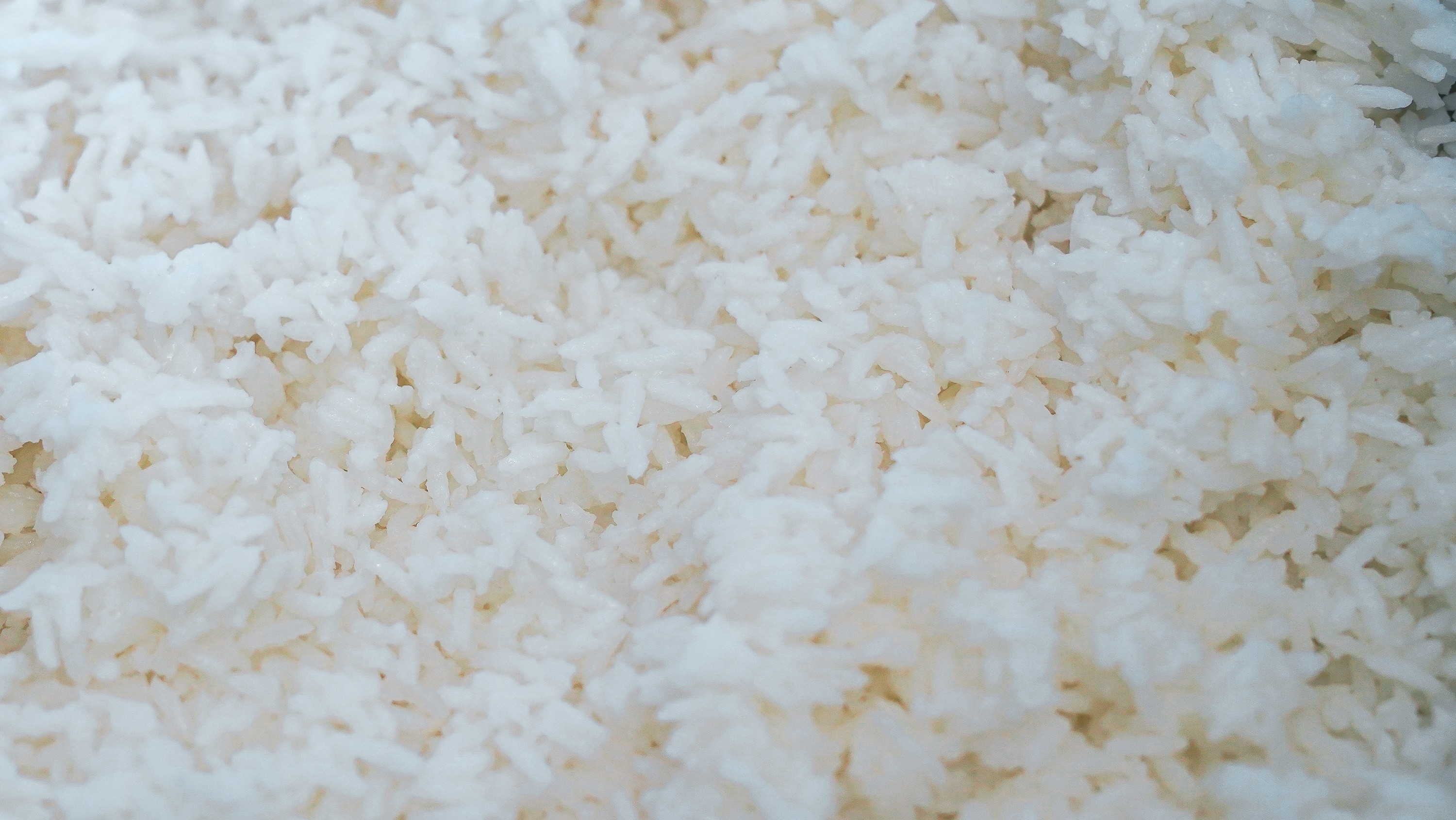 Indústria negocia compra de arroz da Tailândia para compensar perdas previstas no RS e evitar especulação nos preços