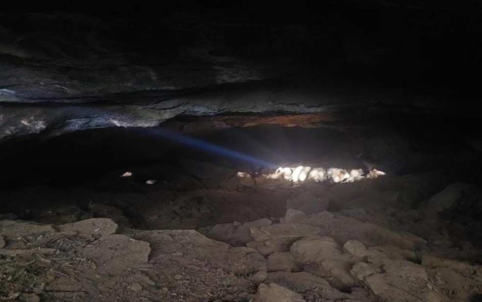  Caverna dos Ecos tem 1,8 km de projeo  Foto: Arquivo pessoal/Rodrigo Santos de Sousa