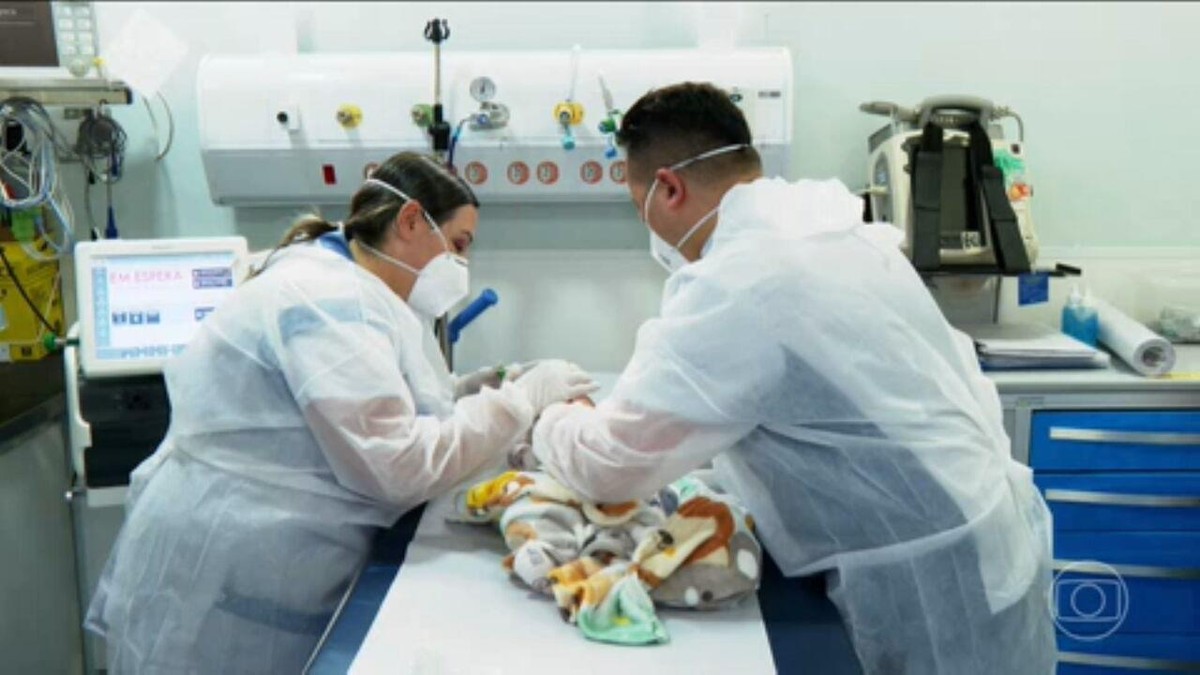 Eventos E Mudanças Demográficas Por Exemplo Surtos De Doenças Infecciosas