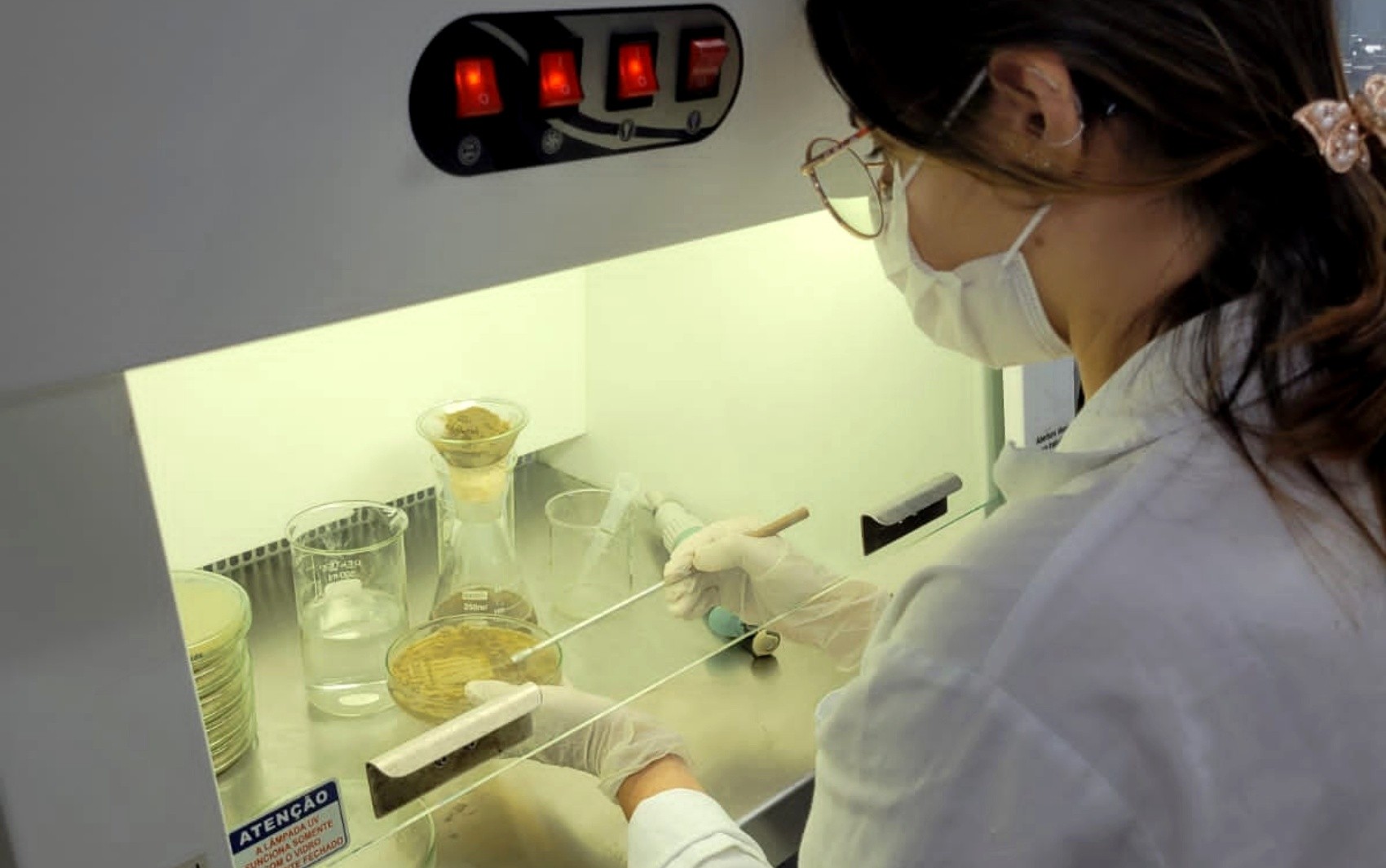 Pesquisa brasileira pode ampliar acesso a açúcar funcional usado como prebiótico; entenda como