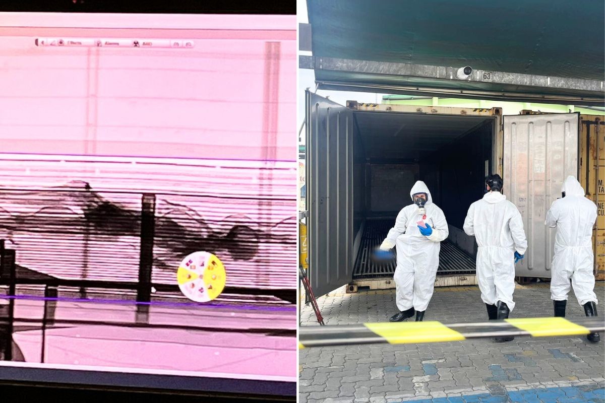 Interpol recebe dados de corpo achado em contêiner no Porto de Santos