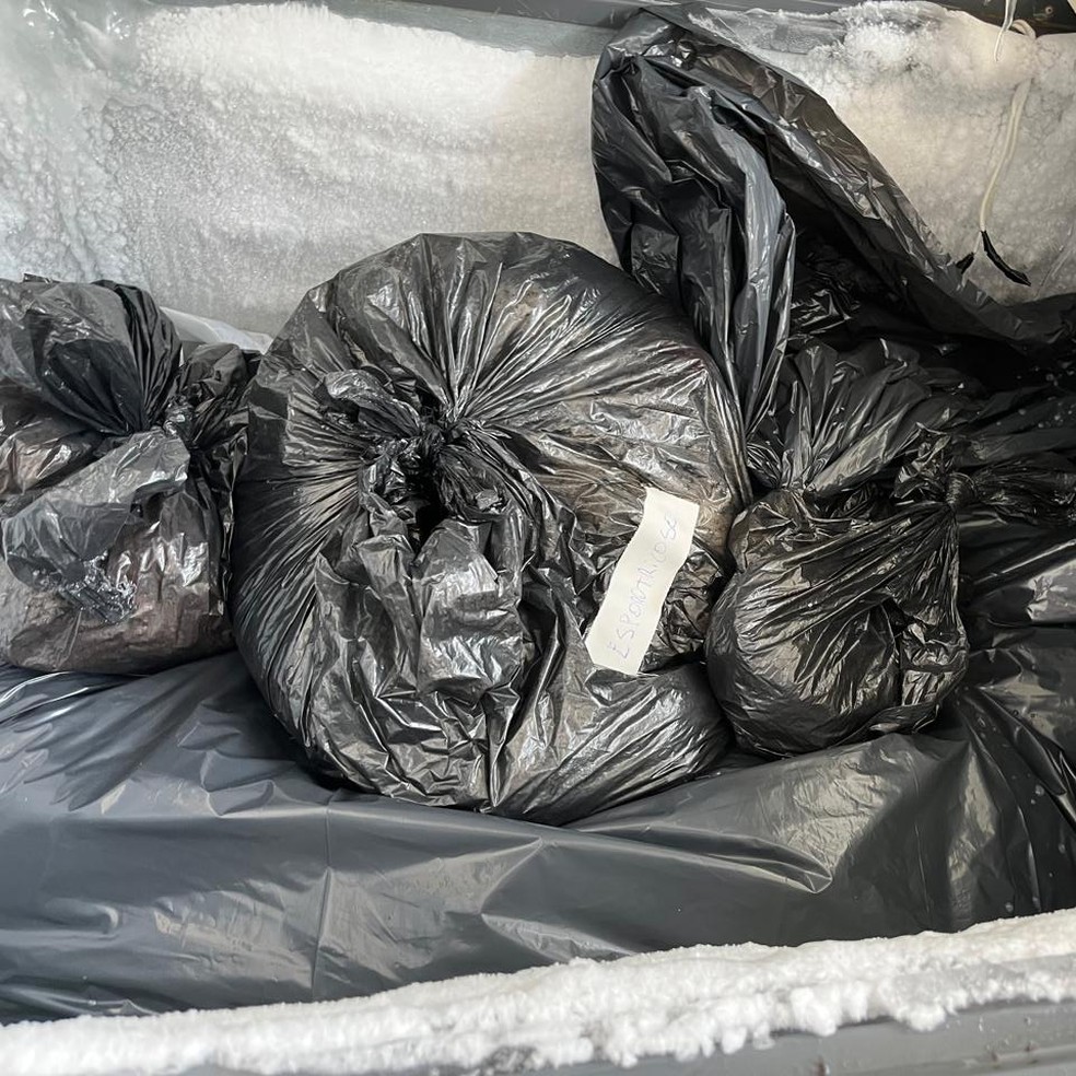 Polícia reuniu sacos de lixo como provas de onde os restos mortais eram mantidos antes do descarte — Foto: Divulgação/ Polícia Civil