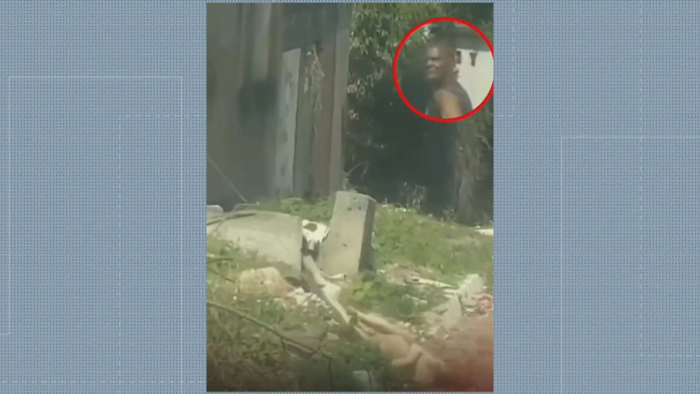 Cachorro foi arrastado pelo asfalto quente em Itaboraí — Foto: Reprodução/TV Globo